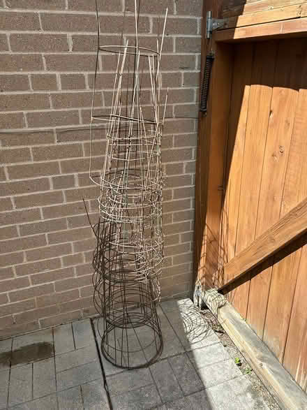 Photo of free Tomato cages (Aurora SW) #1