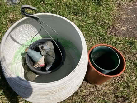 Photo of free Garden items (PA3) #1