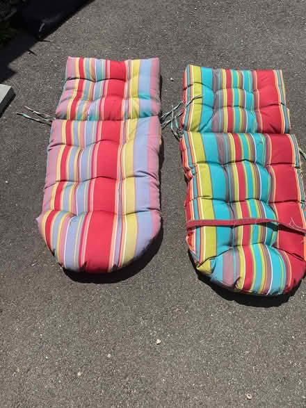 Photo of free Chair cushions (Bloomfield) #1