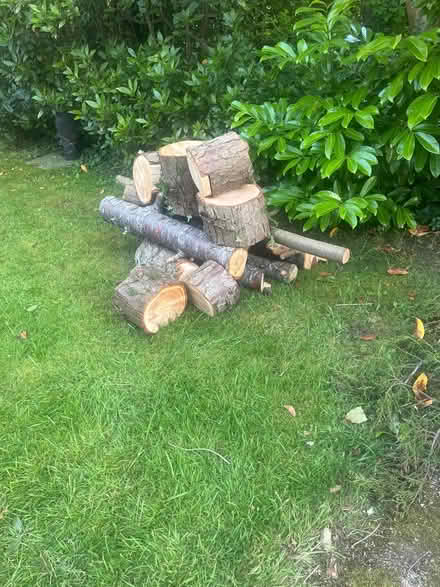 Photo of free Logs for burning (Waterlooville PO7) #1