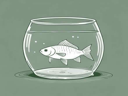 Photo of Small glass fish tank / bowl (Appleby-in-Westmorland CA16) #1