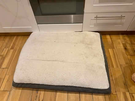 Photo of free Foam bed for large dogs (Littlemore OX4) #1
