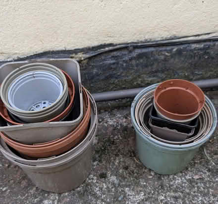 Photo of free Plant pots (Enfield EN3) #1