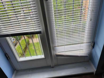 Photo of free White slatted blinds (south Harlow) #2