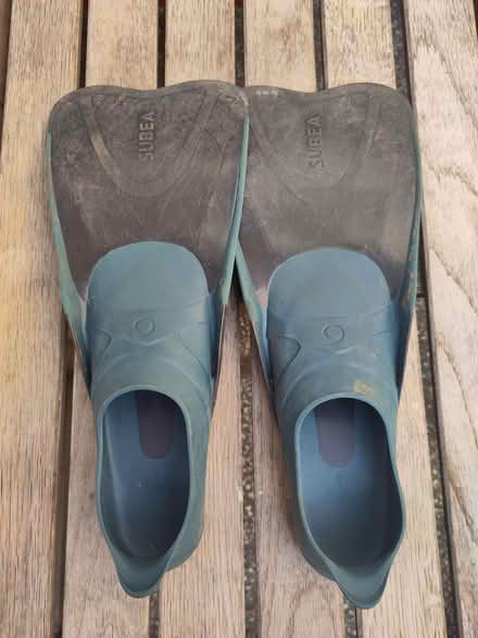 Photo of free Kid's flippers - size 3 (L1 Liverpool City Centre) #1