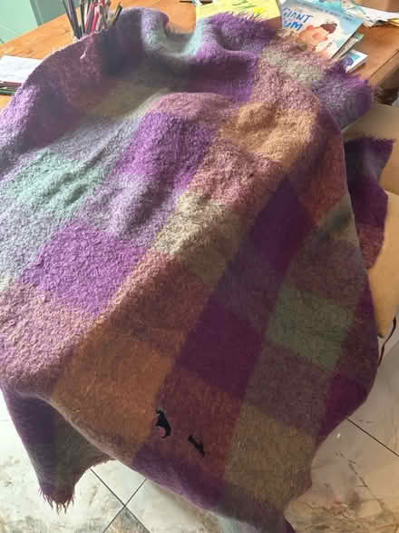 Photo of free Mohair(?) blanket (North fort st EH6) #1