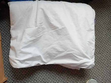 Photo of free Single duvet (Edinburgh EH11) #1
