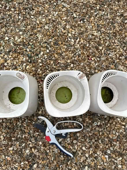Photo of free Cover pots x3 (CO4 9 Colchester) #2