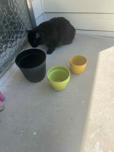 Photo of free Flower pots (Redmond) #2
