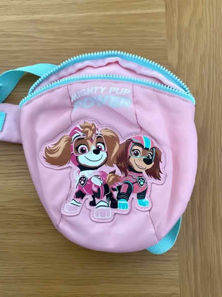 Photo of free Paw Patrol Reins Backpack (North Shields Fish Quay NE29) #1
