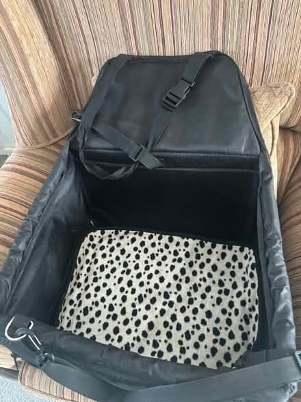 Photo of free Car seat for a small dog (CT154BG) #1