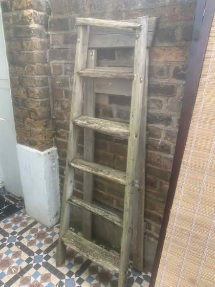 Photo of free Ladder, bamboo screen (Forest Gate) #2