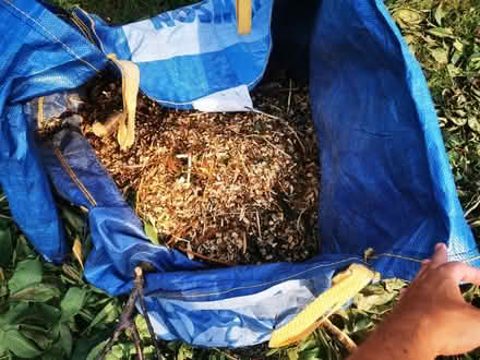 Photo of free Cherry tree wood chips (Havant PO9) #2