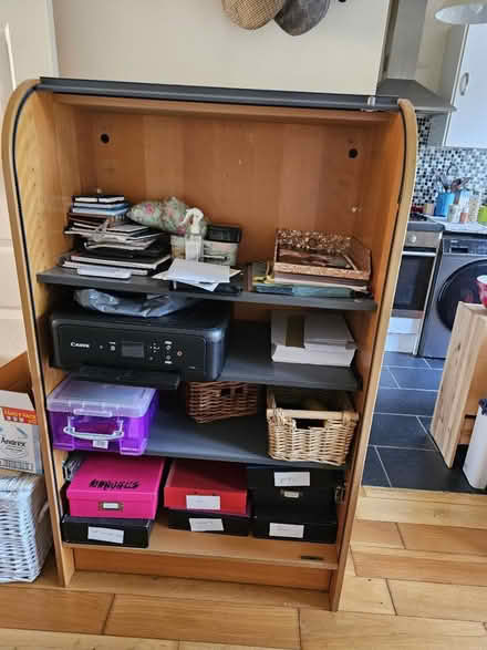 Photo of free Storage Cupboard with Shutter (Earlswood RH1) #3