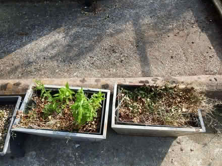 Photo of free 2 Metal Garden Troughs (Vale LA1) #2