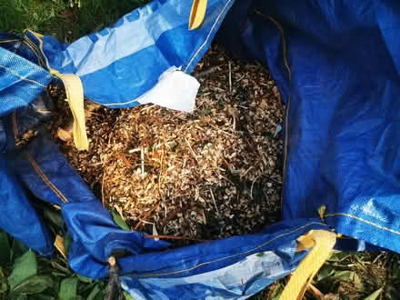 Photo of free Cherry tree wood chips (Havant PO9) #1