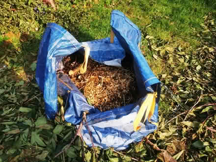 Photo of free Cherry tree wood chips (Havant PO9) #3