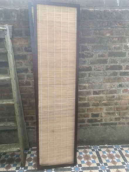 Photo of free Ladder, bamboo screen (Forest Gate) #1