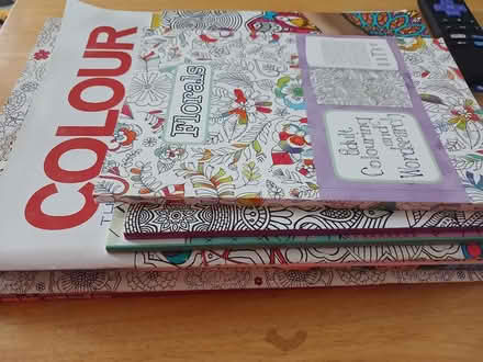 Photo of free Adult Colouring books (Shenley fields B31) #1