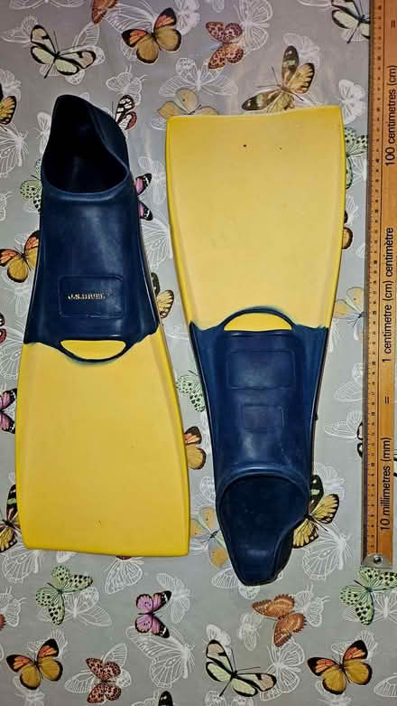 Photo of free Short finned flippers - approx. UK size 8 (Knightsfield AL8) #1