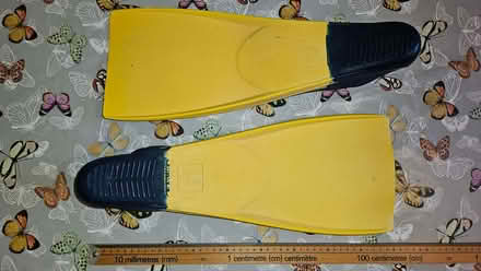 Photo of free Short finned flippers - approx. UK size 8 (Knightsfield AL8) #2