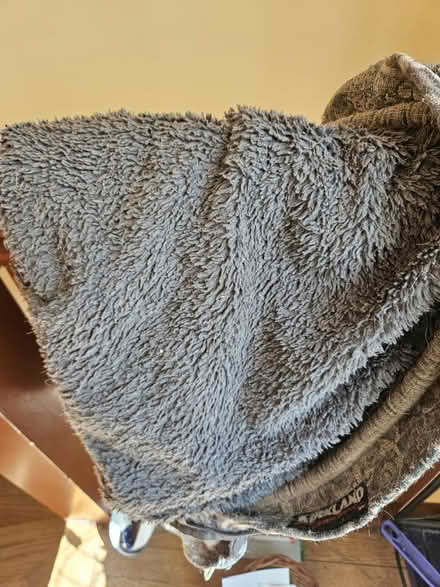 Photo of free Dog bed (60202) #2