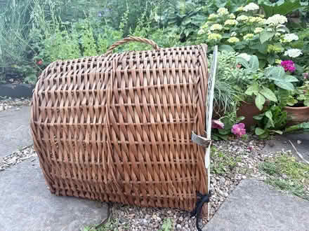 Photo of free Cane cat basket / carrier (West Bridgford NG2) #1