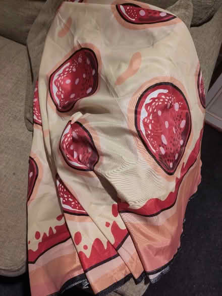Photo of free Pizza Cloth/Scarf 🤷🏼‍♀️ (Little Kingshill HP16) #2