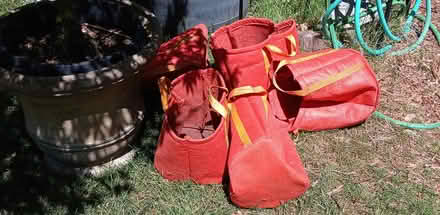 Photo of free Planting bags (Maple Leaf) #1