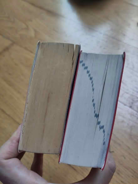 Photo of free Mini Dictionary & Thesaurus (Little Kingshill HP16) #3