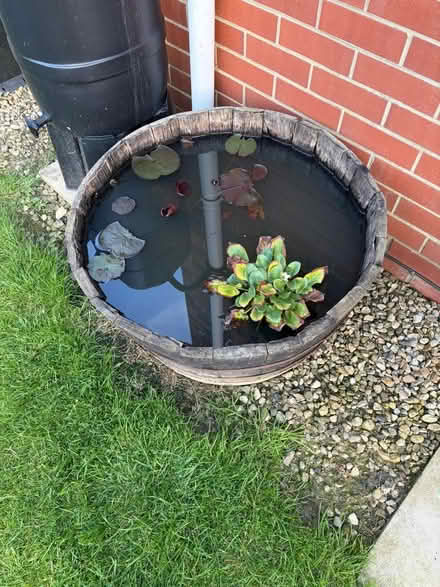 Photo of Half-barrel or stone through (Upton, Poole, BH16) #1