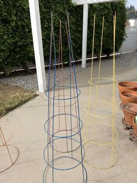 Photo of free Tomato cages (North Hollywood) #1