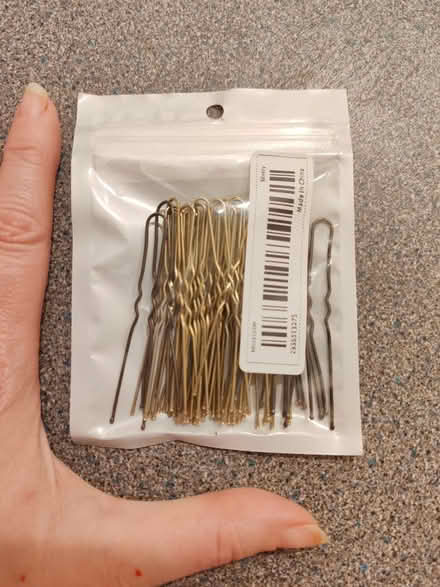 Photo of free Hair pins/slides (Barbourne, WR1) #1