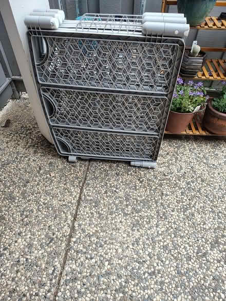 Photo of free play pen (downtown novato) #1