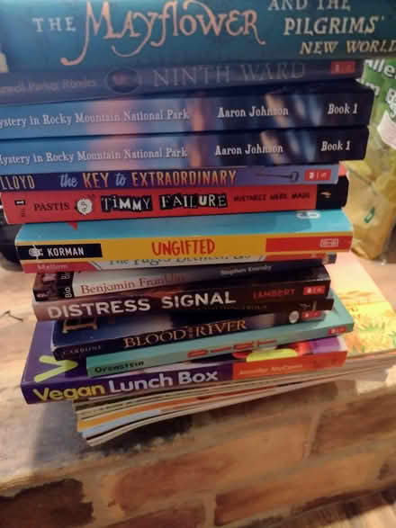 Photo of free Stack of Books (Near Goodwood Museum & Gardens) #1