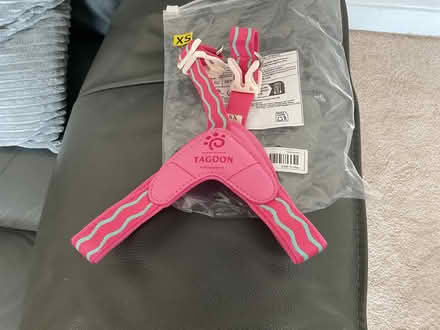 Photo of free Dog harness (BD19 Cleckheaton) #1