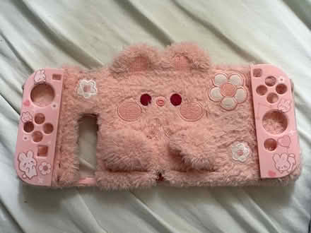 Photo of free Fuzzy Nintendo Switch Case (North Brunswick, NJ) #1