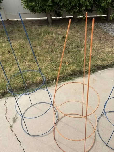 Photo of free Tomato cages (North Hollywood) #2