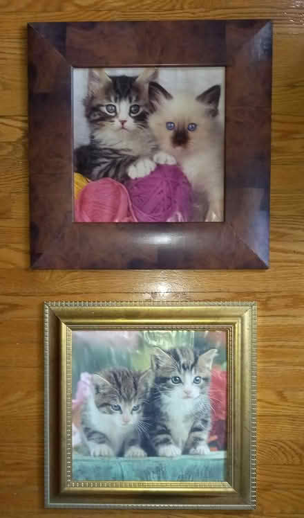 Photo of free Pictures (North York: Bathurst Manor) #1