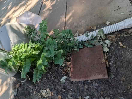 Photo of free Paver, plastic bins (Downtown Oak Park) #1