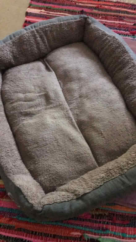 Photo of free Large dog bed (EN7) #1