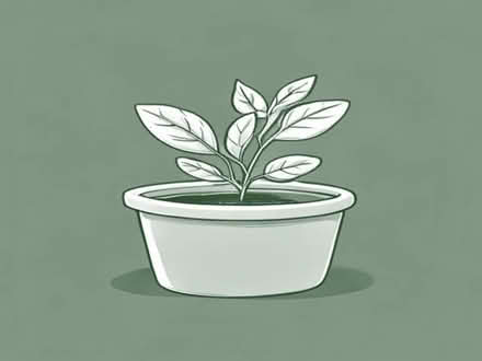 Photo of Plastic plant pot (Putney SW15) #1