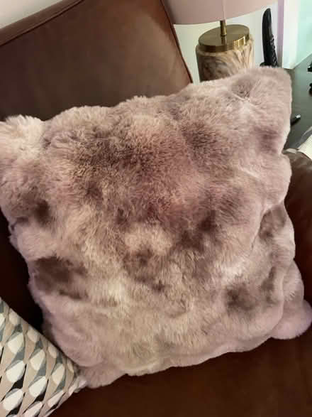 Photo of free Two sets of cushions (SK7 Bramhall) #2