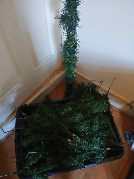 Photo of free Christmas Tree (Woodseats S8) #3