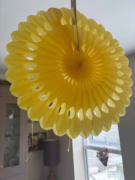 Photo of free Paper decorations- two of each (Churchtown) #1