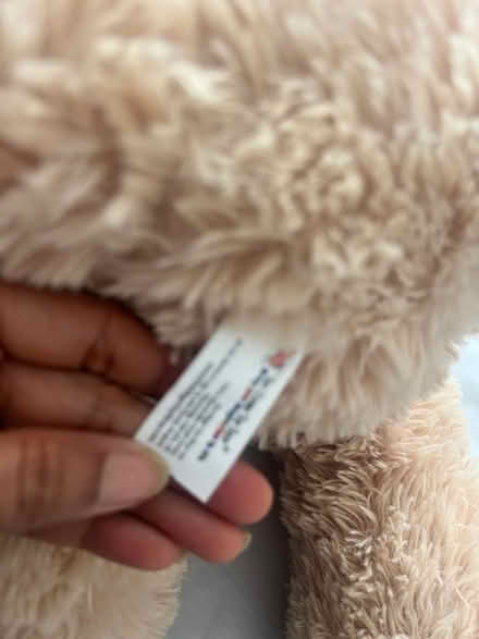 Photo of free Stuffed dog toy (CR8) #1