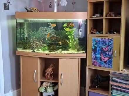 Photo of free Fish tank (Hillsborough S6) #1