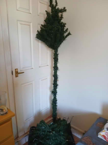 Photo of free Christmas Tree (Woodseats S8) #2