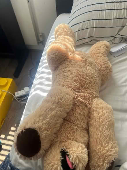 Photo of free Stuffed dog toy (CR8) #2