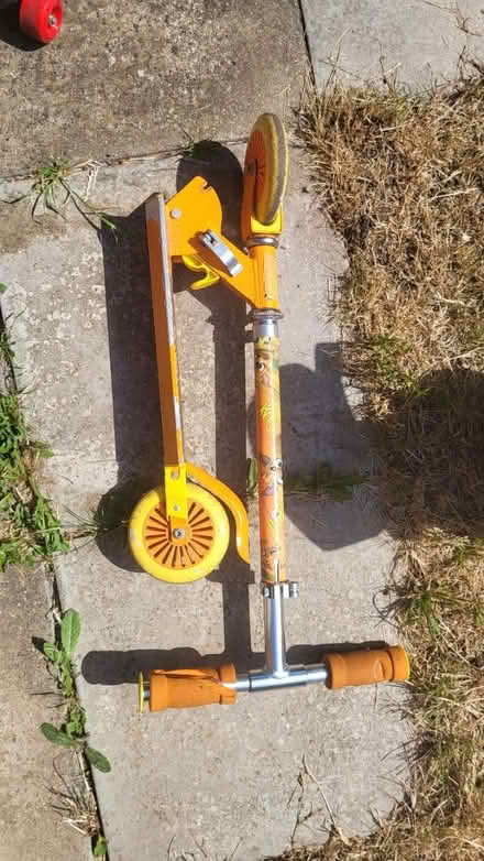 Photo of free Kids scooter (Gillingham, ME8) #1